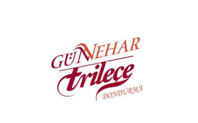 sosyal medya y&ouml;netimi